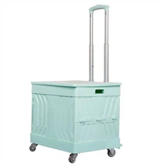 Carrello della spesa pieghevole pieghevole