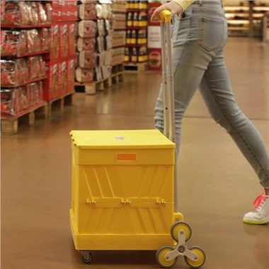 Carrello della spesa