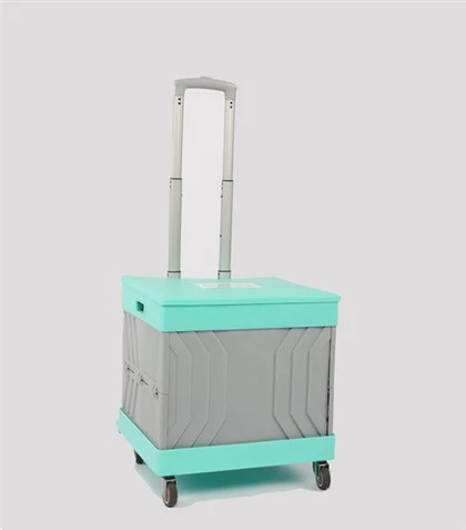 Carrello della spesa mobile leggero in plastica