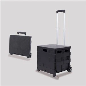 Carrello spesa portatile con ruote